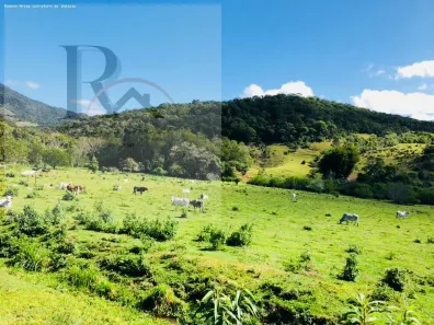Fazenda/Sítio à venda, 2000000m² no , Paulo Lopes