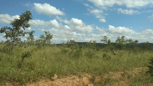 Lote/Terreno à venda, 20000m² no , Cordisburgo