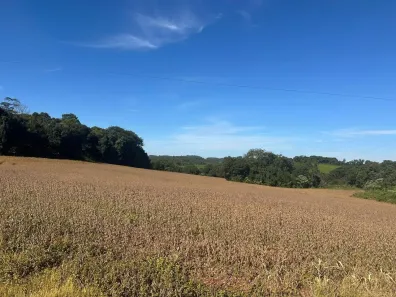 Fazenda/Sítio à venda, 20000m² no , Mariópolis