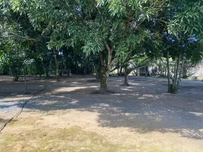 Fazenda/Sítio com 3 Quartos à venda, 3050m² no Chã da Tábua, São Lourenço da Mata