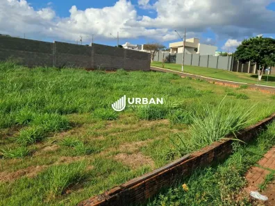 Lote/Terreno à venda, 411m² no Gleba Simon Frazer, Londrina