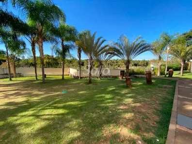 Apartamento com 2 Quartos para alugar, 48m² no Shopping Park, Uberlândia