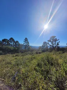 Lote/Terreno à venda, 5062m² no Centro, Urubici