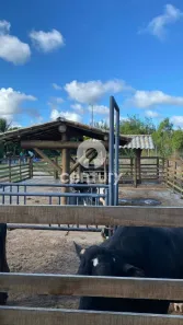 Lote/Terreno à venda, 635m² no Ribuleirinha, Estância