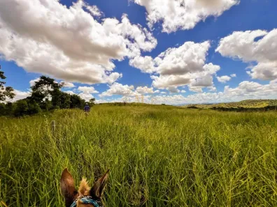 Fazenda/Sítio com 1 Quarto à venda, 100000000m² no , Carlos Chagas