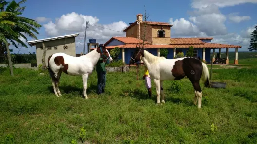 Fazenda/Sítio à venda, 60984m² no Mimoso, Sátiro Dias
