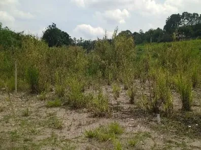 Lote/Terreno à venda, 625m² no Caxambu, Jundiaí