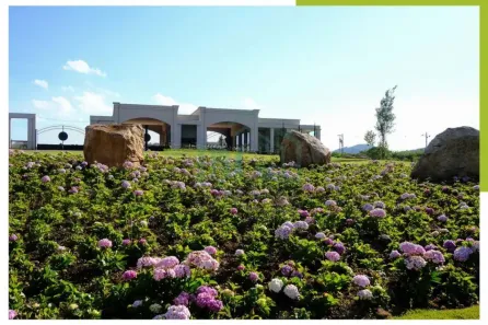 Lote/Terreno à venda, 1200m² no Bortolan, Poços de Caldas