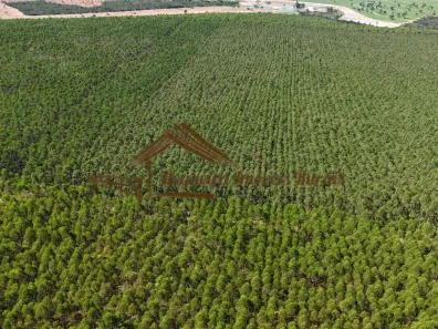 Fazenda/Sítio à venda, 1m² no Área Rural de Botucatu, Botucatu