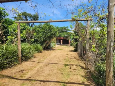Fazenda/Sítio com 3 Quartos à venda, 2500m² no , Santa Cruz da Esperança