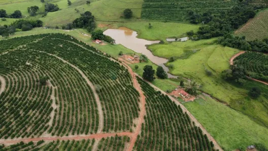 com 1 Quarto à venda, 600m² no Área Rural de Patos de Minas, Patos de Minas