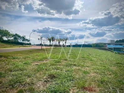 Lote/Terreno à venda, 10000m² no Vila Brandina, Campinas
