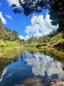 Fazenda/Sítio à venda, 5000m² no , Santa Teresa