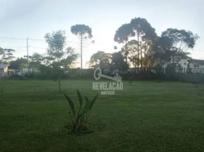 Fazenda/Sítio com 3 Quartos à venda, 3000m² no Campo Largo da Roseira, São José dos Pinhais
