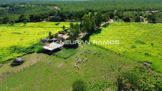 Fazenda/Sítio à venda, 440000m² no Área Rural, Correntina