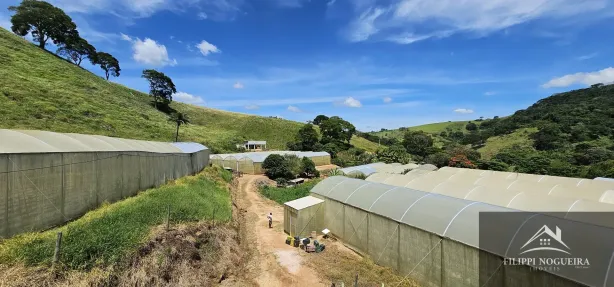 Fazenda/Sítio com 4 Quartos à venda, 7395m² no Avelar, Paty do Alferes