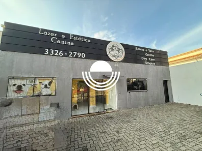 Casa com 2 Quartos à venda, 300m² no Jardim Proença, Campinas