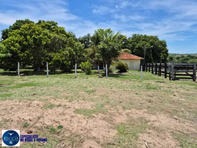 Fazenda/Sítio com 4 Quartos à venda, 15m² no Centro, Palmeiras de Goiás