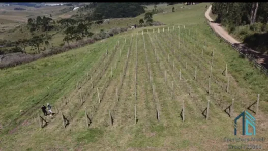 Fazenda/Sítio com 1 Quarto à venda, 200000m² no , São Joaquim
