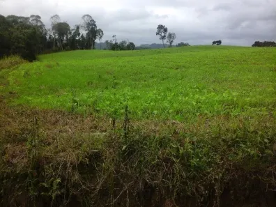 Fazenda/Sítio com 2 Quartos à venda, 10m² no , Ituporanga