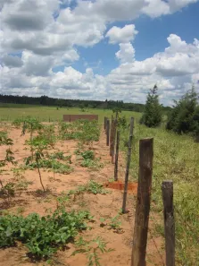à venda, 2010m² no , Ribeirão Bonito