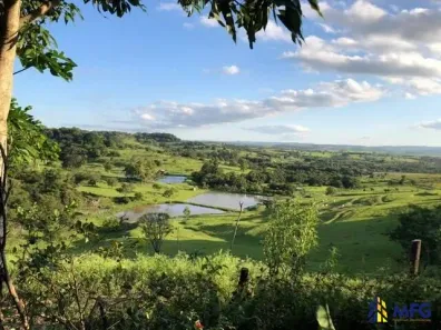 Fazenda/Sítio com 4 Quartos à venda, 93000m² no Centro, Porangaba