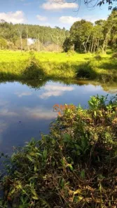 Fazenda/Sítio com 3 Quartos à venda, 24200m² no Cuiabá de Cima, Nazaré Paulista