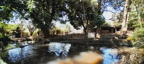 Fazenda/Sítio com 7 Quartos à venda, 757m² no City Ribeirão, Ribeirão Preto