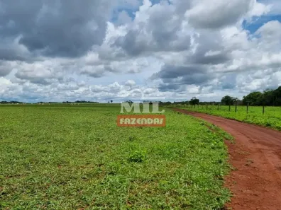 Fazenda/Sítio à venda, 213000m² no , Acreúna