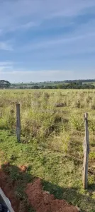 à venda, 24200m² no Álvares Florence, Álvares Florence