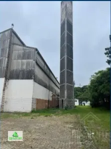 Galpão/Depósito/Armazém para alugar, 5500m² no Cangaíba, São Paulo