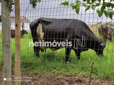 Fazenda/Sítio com 3 Quartos à venda, 181000m² no Juatuba, Juatuba