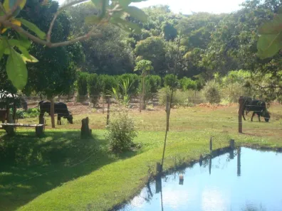Fazenda/Sítio com 4 Quartos à venda, 30000m² no Mansões de Recreio Estrela Dalva VI, Luziânia