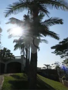 Casa com 5 Quartos à venda, 600m² no Jardim Guedala, São Paulo