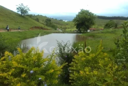Fazenda/Sítio com 4 Quartos à venda, 300m² no Canaã, Jambeiro