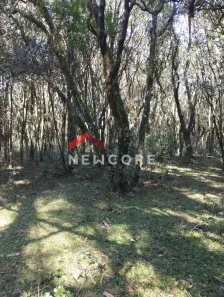 Lote/Terreno à venda, 30000m² no Centro, São Francisco de Paula