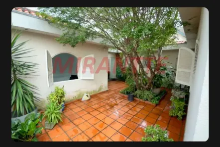 Casa com 5 Quartos à venda, 140m² no Vila Albertina, São Paulo