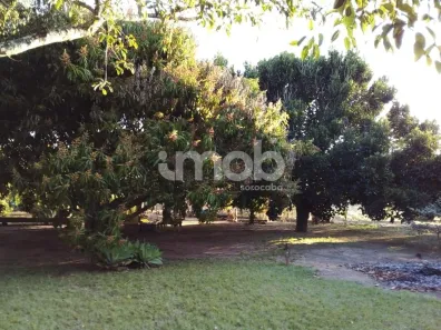 Fazenda/Sítio com 3 Quartos à venda, 2000m² no , Capão Bonito