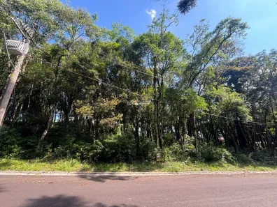 Lote/Terreno à venda, 800m² no Lagos do Bosque, Gramado