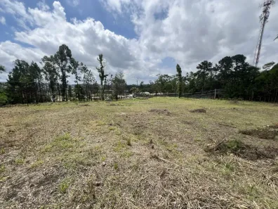 Lote/Terreno à venda, 4916m² no Paisagem Renoir, Cotia