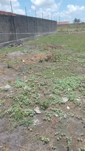 Lote/Terreno à venda, 360m² no Loteamento Trevo do Frances, Marechal Deodoro