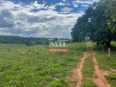 Fazenda/Sítio à venda, 500m² no , Uruaçu