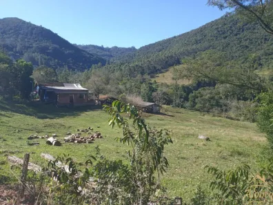 Lote/Terreno à venda, 62000m² no , Picada Café