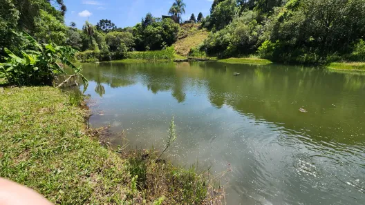 Fazenda/Sítio com 4 Quartos à venda, 19000m² no Areia Branca dos Assis, Mandirituba