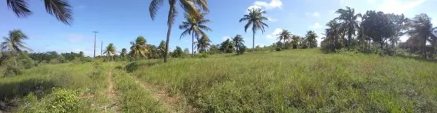 Fazenda/Sítio à venda, 1170000m² no praia de muriu, Ceará-Mirim