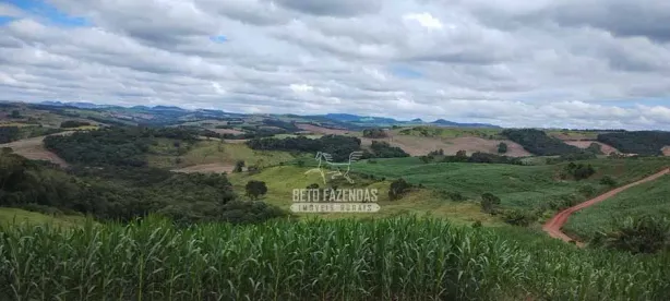 Fazenda/Sítio à venda, 3581600m² no , Manoel Ribas