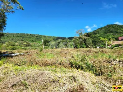 Lote/Terreno à venda, 5000m² no Linha Araripe, Nova Petrópolis