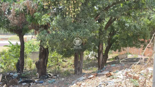 Lote/Terreno à venda, 200m² no Renascença, Montes Claros