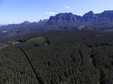 Fazenda/Sítio com 2 Quartos à venda, 5230000m² no , Grão Pará