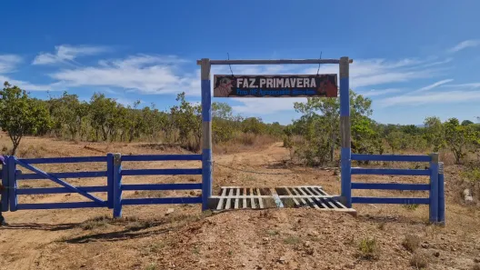 Fazenda/Sítio à venda, 10933542m² no , Paranã